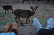 歳の差婚は上手くいくのか?